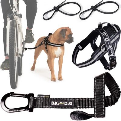 Correa y Arnés de Perro para Bicicleta