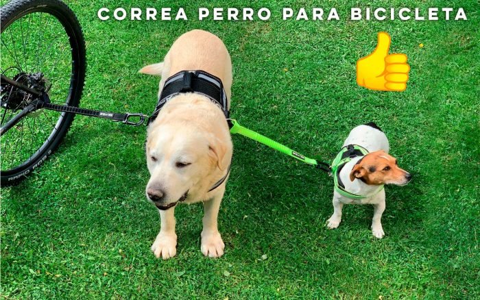 correa de perro para bicicleta llevando 2 perros