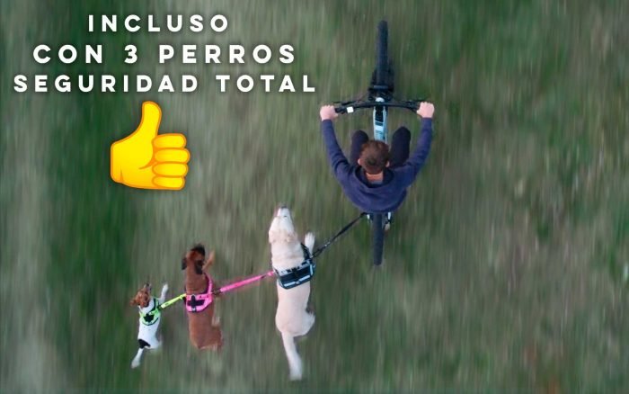 correa de perro para bicicleta, puedes llevar 3 perros
