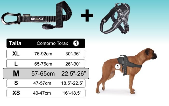 Correa y arnés para bicicleta