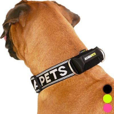 Collar para Perro Antiahogo | Diseño Reflectante y Ergonómico