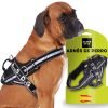 Arnés para Perro Ajustable y Reflectante | Seguridad y Comodidad