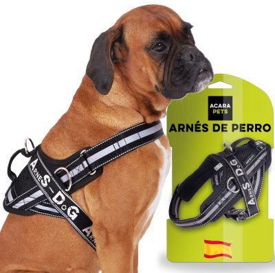 Arnés para Perro Ajustable y Reflectante | Seguridad y Comodidad