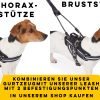 B0DYK3WQ48.PT01 Hundegeschirr