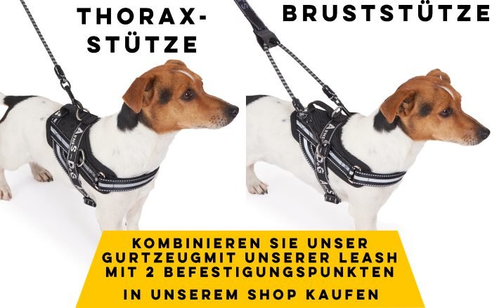 B0DYK3WQ48.PT01 Hundegeschirr