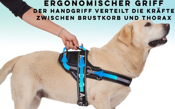 B092TM52G7.PT02 Hundegeschirr