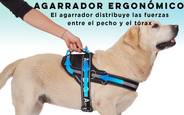 Arnés para Perro