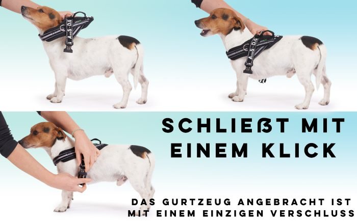 B092TM52G7.PT03 Hundegeschirr