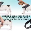 Arnés para Perro