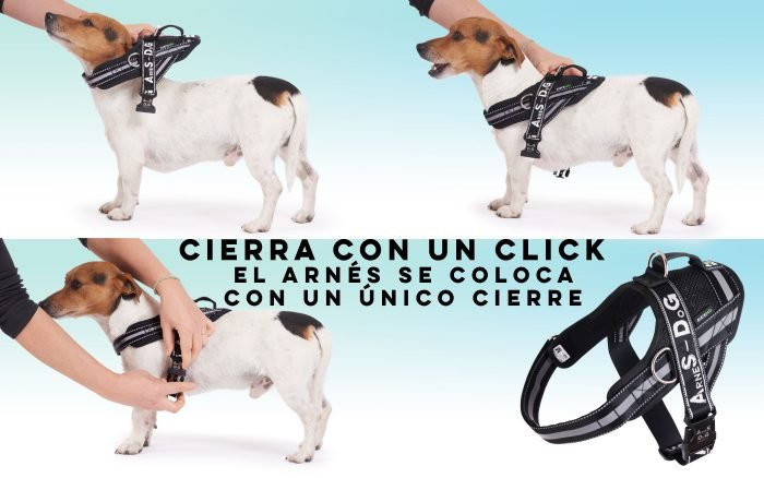 Arnés para Perro