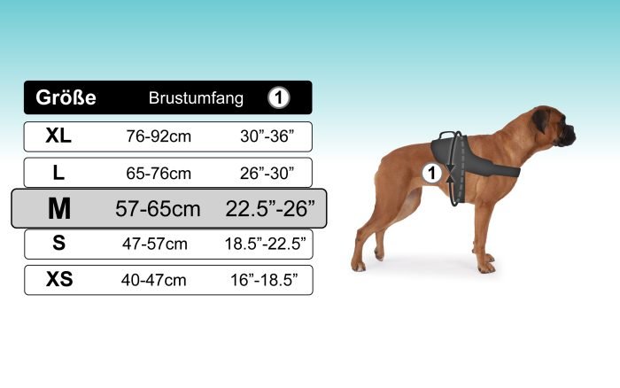 B092TM52G7.PT05 Hundegeschirr