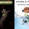 Arnés para Perro
