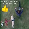 Schwarze Fahrrad-Hundeleine – Sie können sogar 3 Hunde mitnehmen