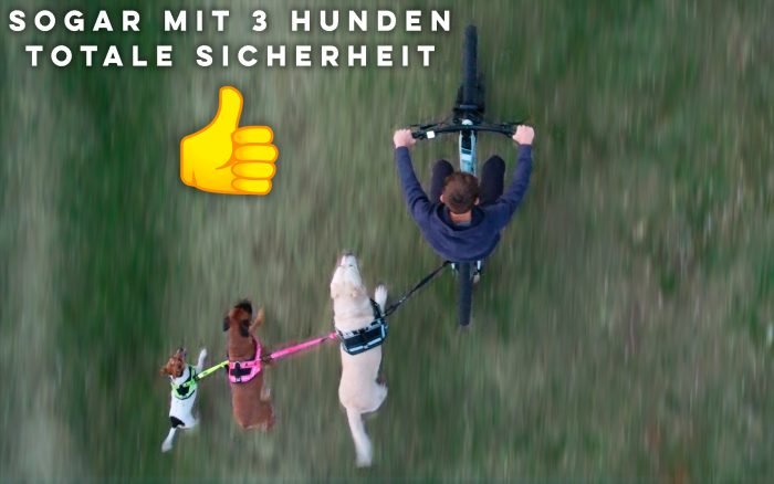 Schwarze Fahrrad-Hundeleine – Sie können sogar 3 Hunde mitnehmen