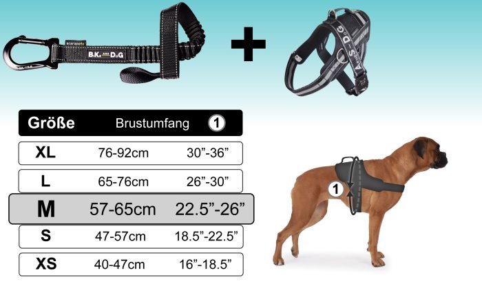 Fahrradgurt und Gurtzeug