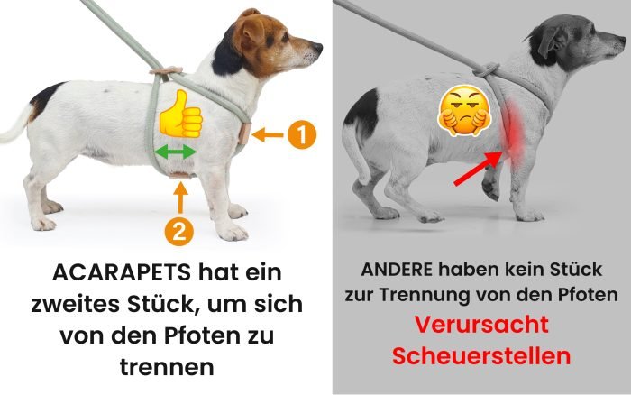 Leine, Halsband und Geschirr, alles in einem.