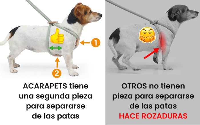 Correa, Collar y arnés, Todo en uno.