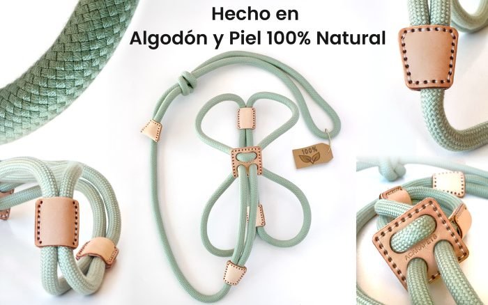 Correa, Collar y arnés, Todo en uno.