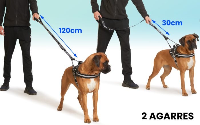 Correa para Perro 2 Enganches