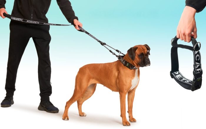 Collar para Perro Antiahogo