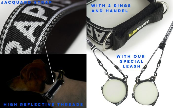 Anti-Suffizienz-Hundehalsband