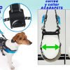 Correa para Perro 2 Enganches