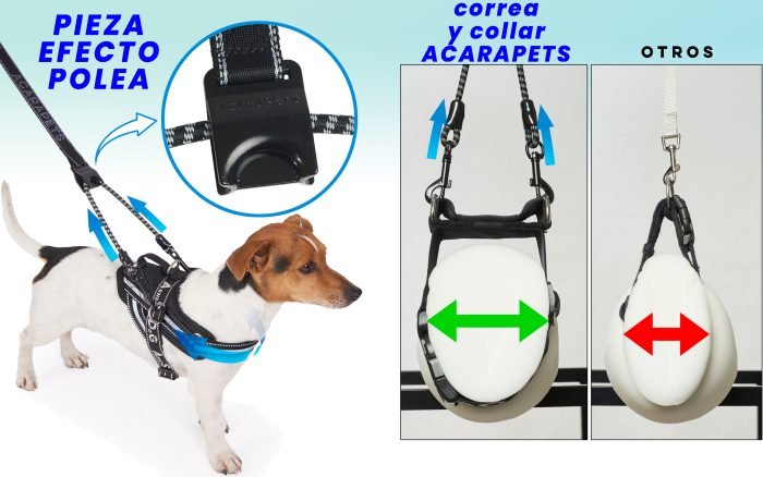 Correa para Perro 2 Enganches