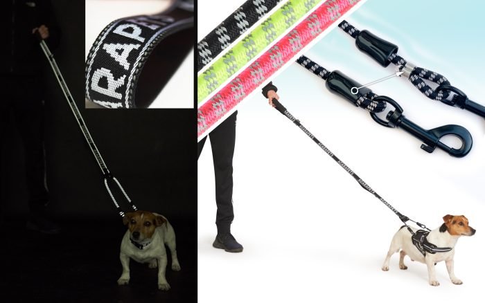 Correa para Perro 2 Enganches