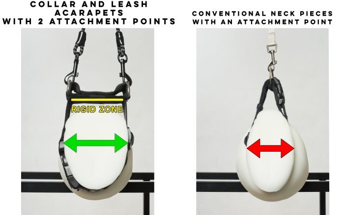 Anti-Suffizienz-Hundehalsband