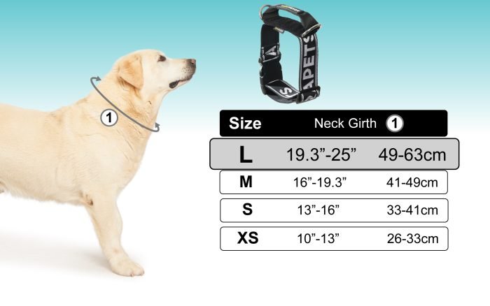 Hundeleine und Halsband