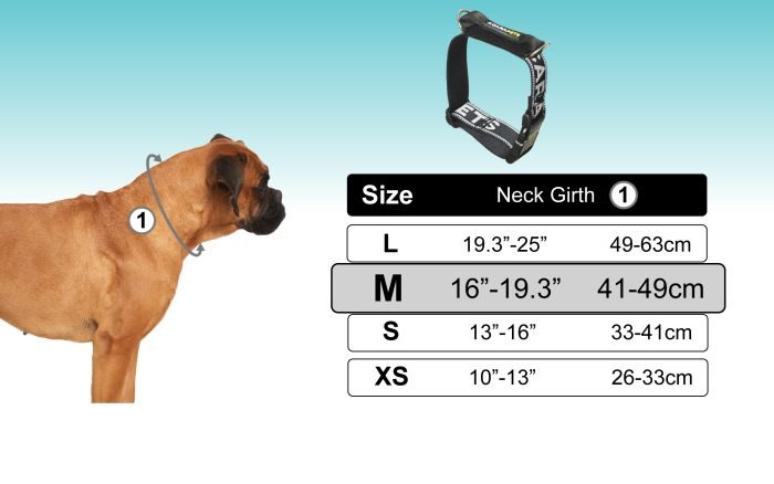 Anti-Suffizienz-Hundehalsband